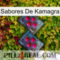 Kamagra Flavours 14